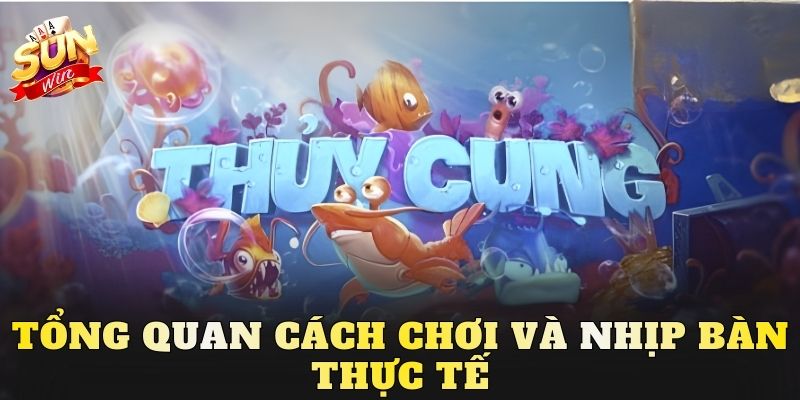 Tổng quan cách chơi và nhịp bàn thực tế